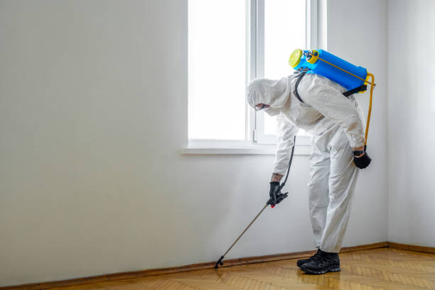 Trusted Stockton University, NJ Pest control Experts